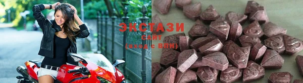 хмурый Белокуриха
