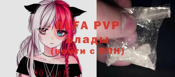 хмурый Белокуриха