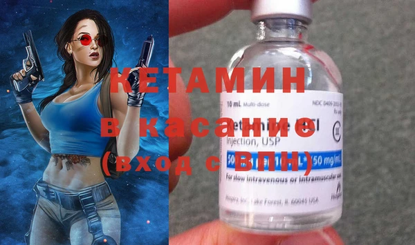 крисы Болотное