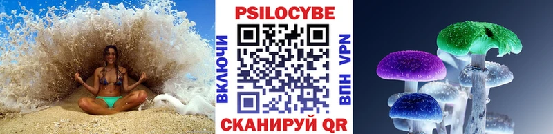 Псилоцибиновые грибы Psilocybe  Волчанск 